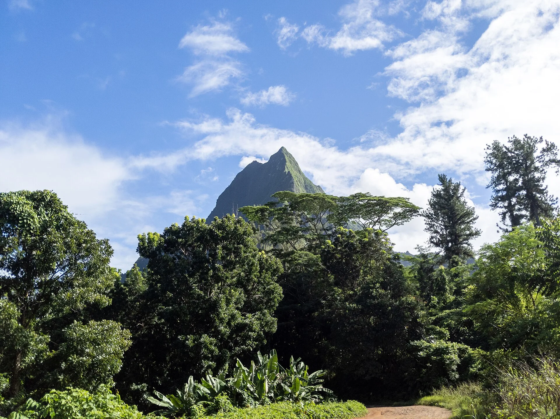 Montagnes verdoyantes et lagon de Moorea en Polynésie française