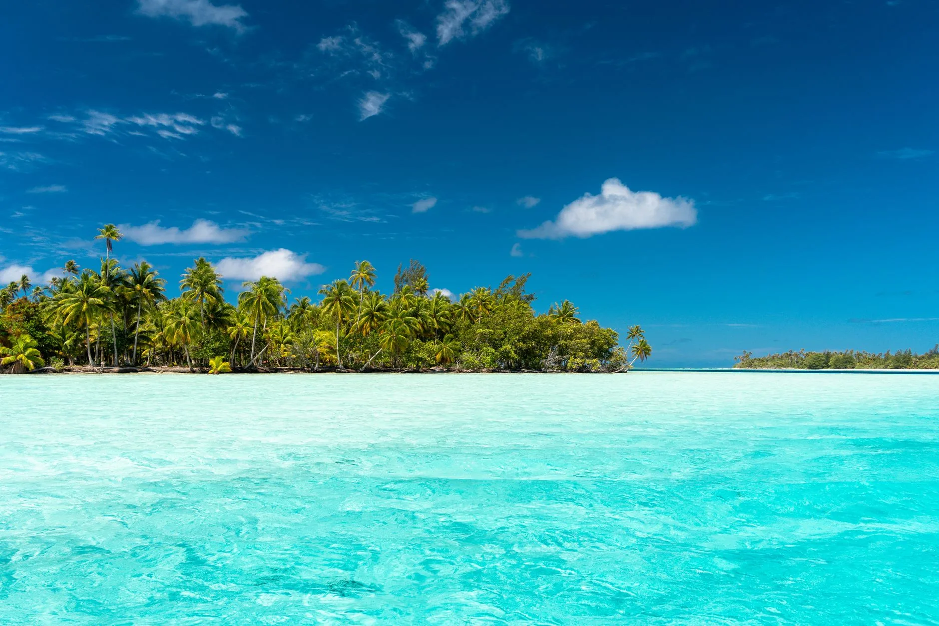 Plonger à Rangiroa